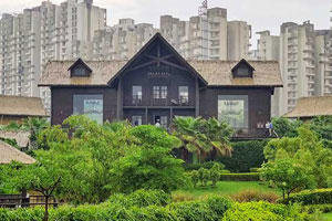 luxury villa in Greater Noida